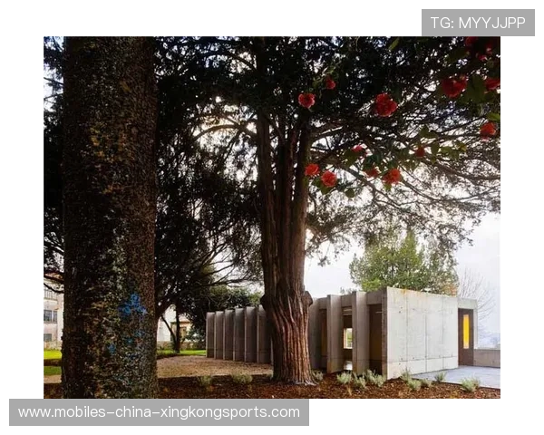 波尔图中路的精妙分球成为赛后话题