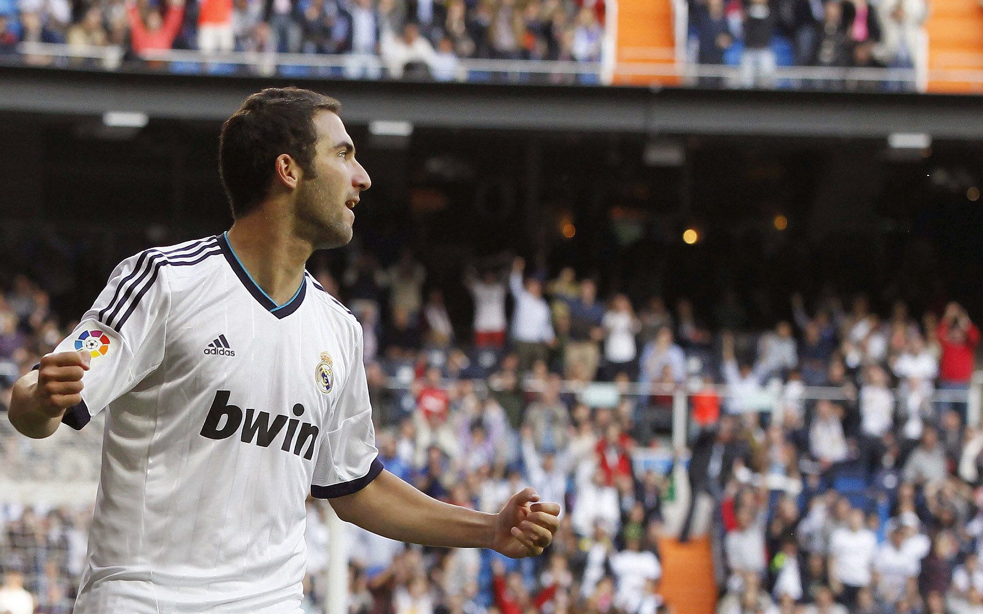 体育赛事观众行为研究